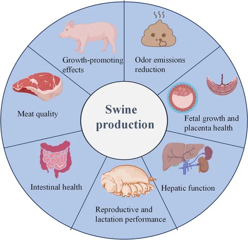 Vine Tea Extract In Livestock Vine Tea Extract In Livestock