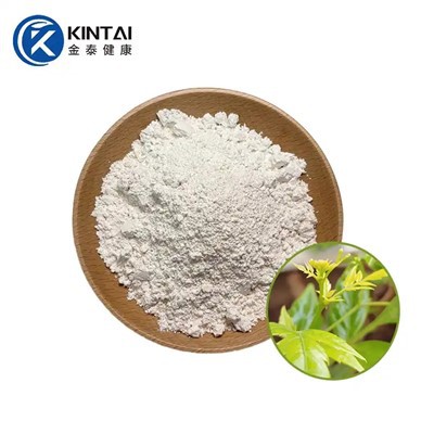 Viinapuu tee ekstrakt